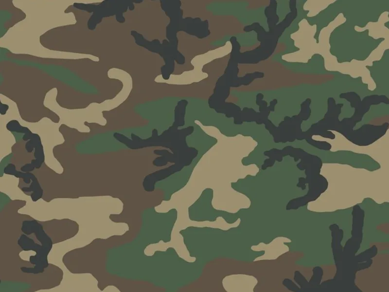 Камуфляжный рисунок US Woodland